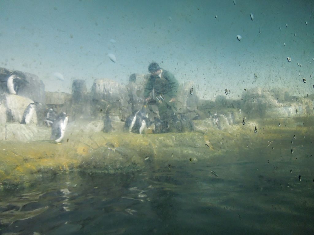 2014_09_22_zoo_0016.jpg (large)