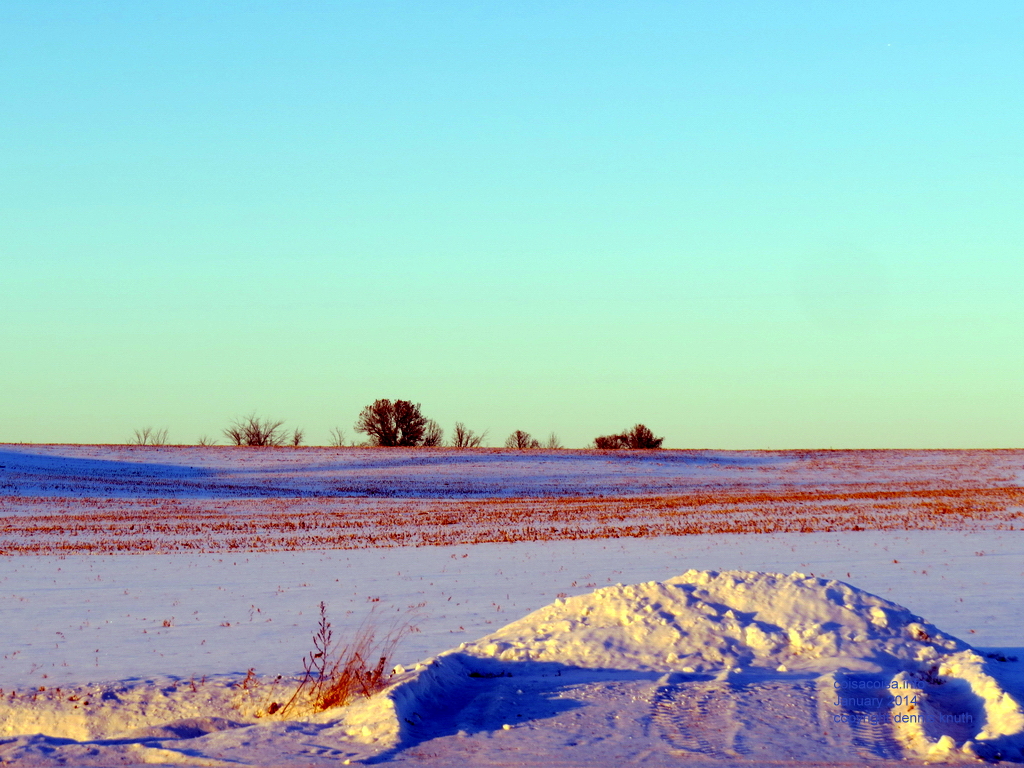 Corn stubbled field in the Wisconsin January Winter