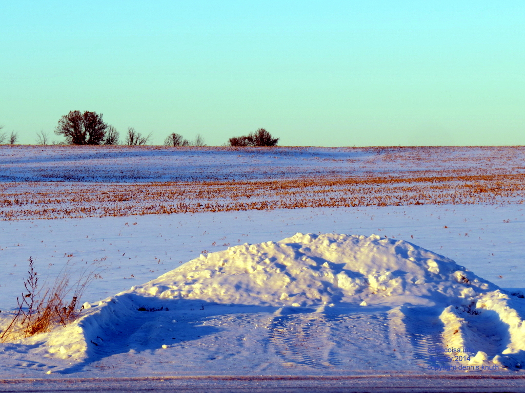 2014_01_02_farm_0201.jpg (large)