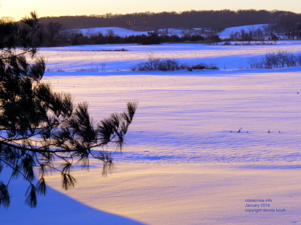 2014_01_02_farm_0202.jpg (large)