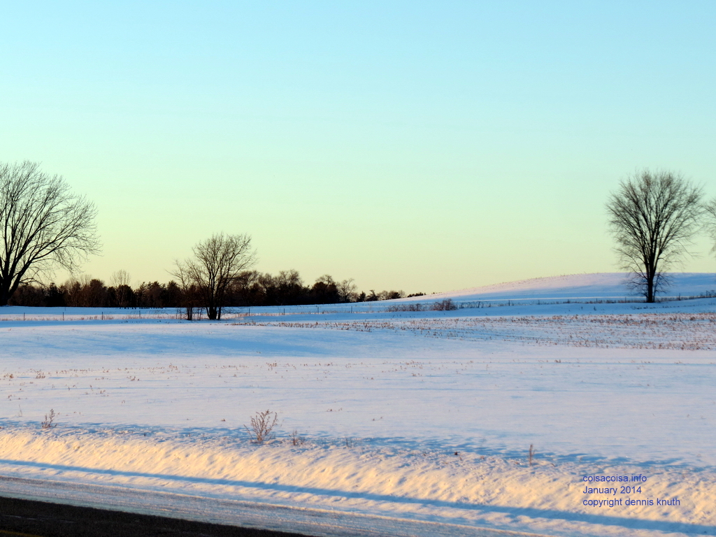 2014_01_02_farm_0206.jpg (large)