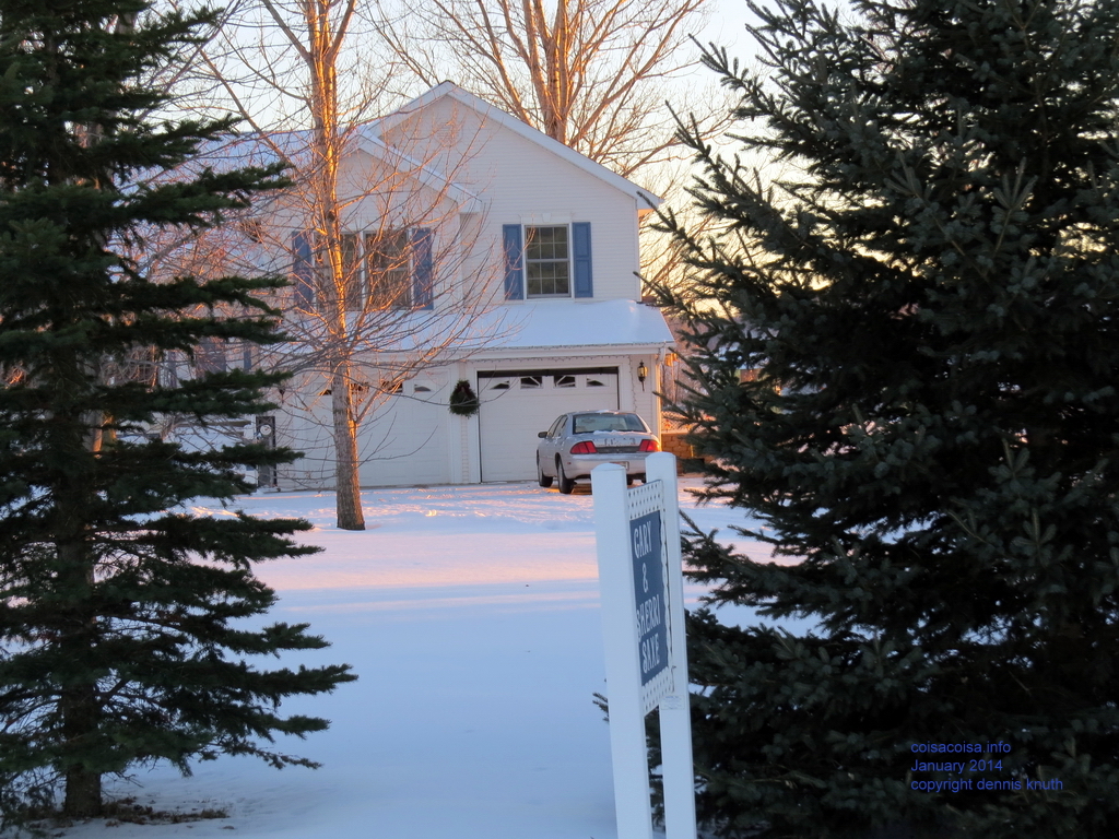 Sherri's house between the pine trees
