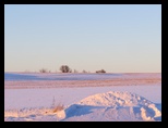 2014_01_02_farm_0200.jpg