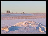 2014_01_02_farm_0201.jpg