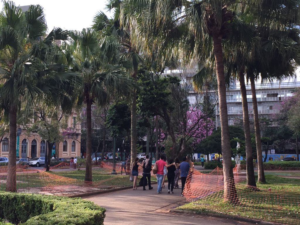 Palm trees of the Emperor