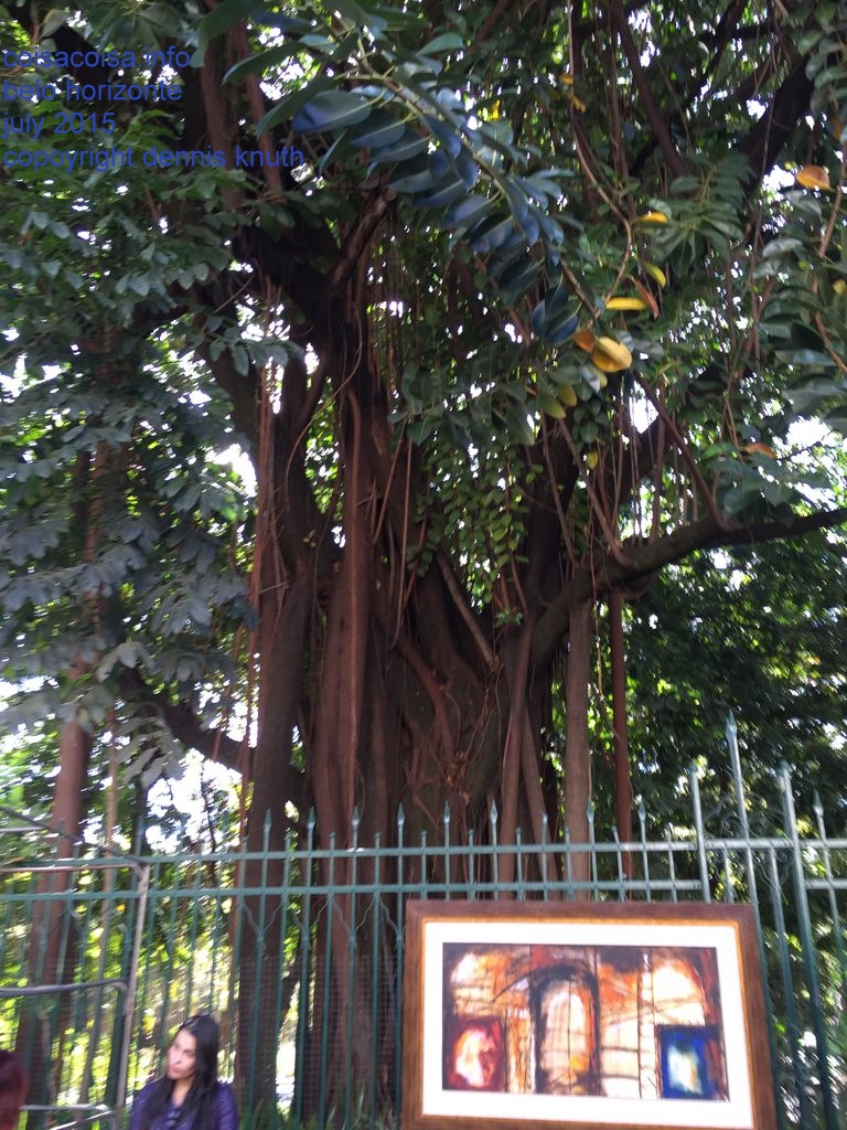 Branch roots with art for sale