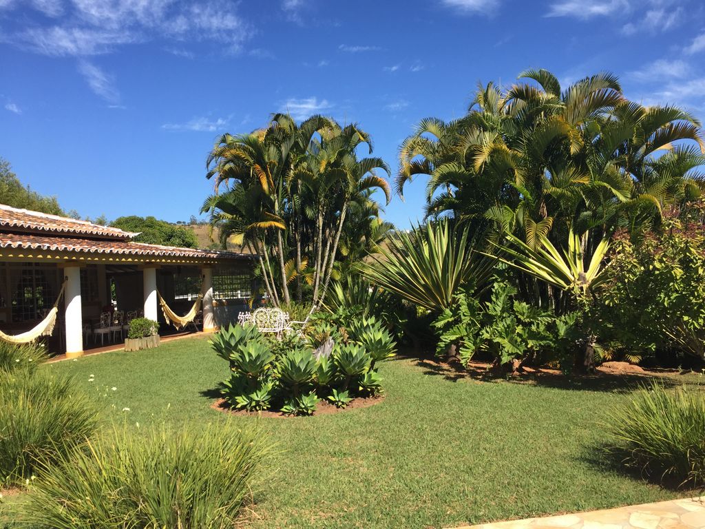 Palm grove on the lawn