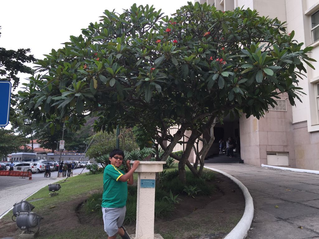 Connor at Sugar Loaf cable car staging area
