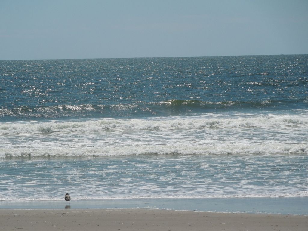 Wave on the Atlantic Ocean