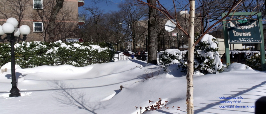 Sunny Elmhurst Towers after the Blizzard