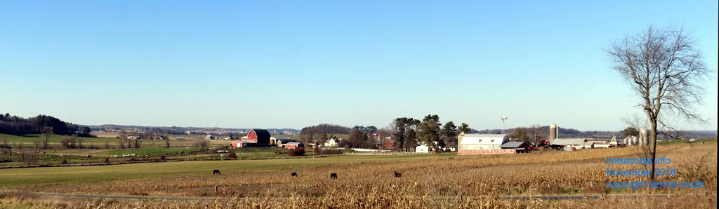 Augusta Wisconsin Autumn Panorama