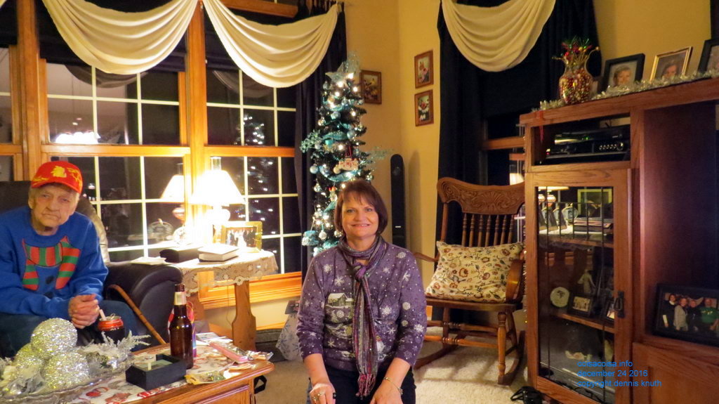 Christmas tree 2016 at Sherri and Gary's