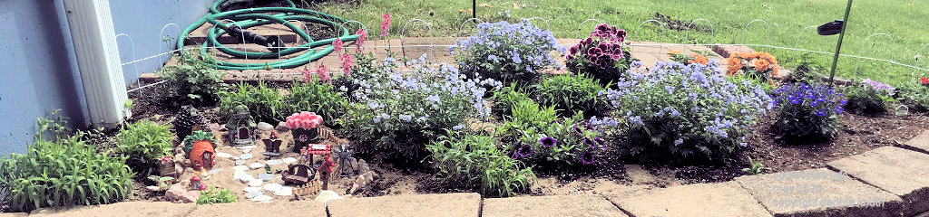 Start of Sherri's Flowers in the Spring of 2020