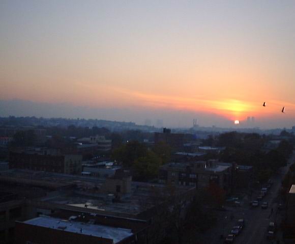 WTC sunset November 9 1999 with Sea Gulls