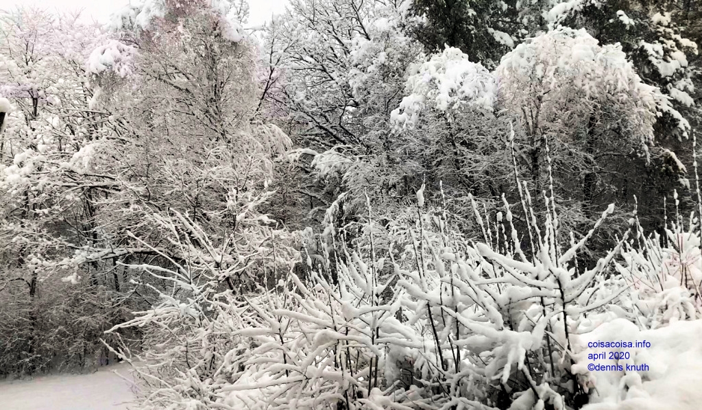 Let Snow Easter 2020 Snow Video in Northern Wisconsin